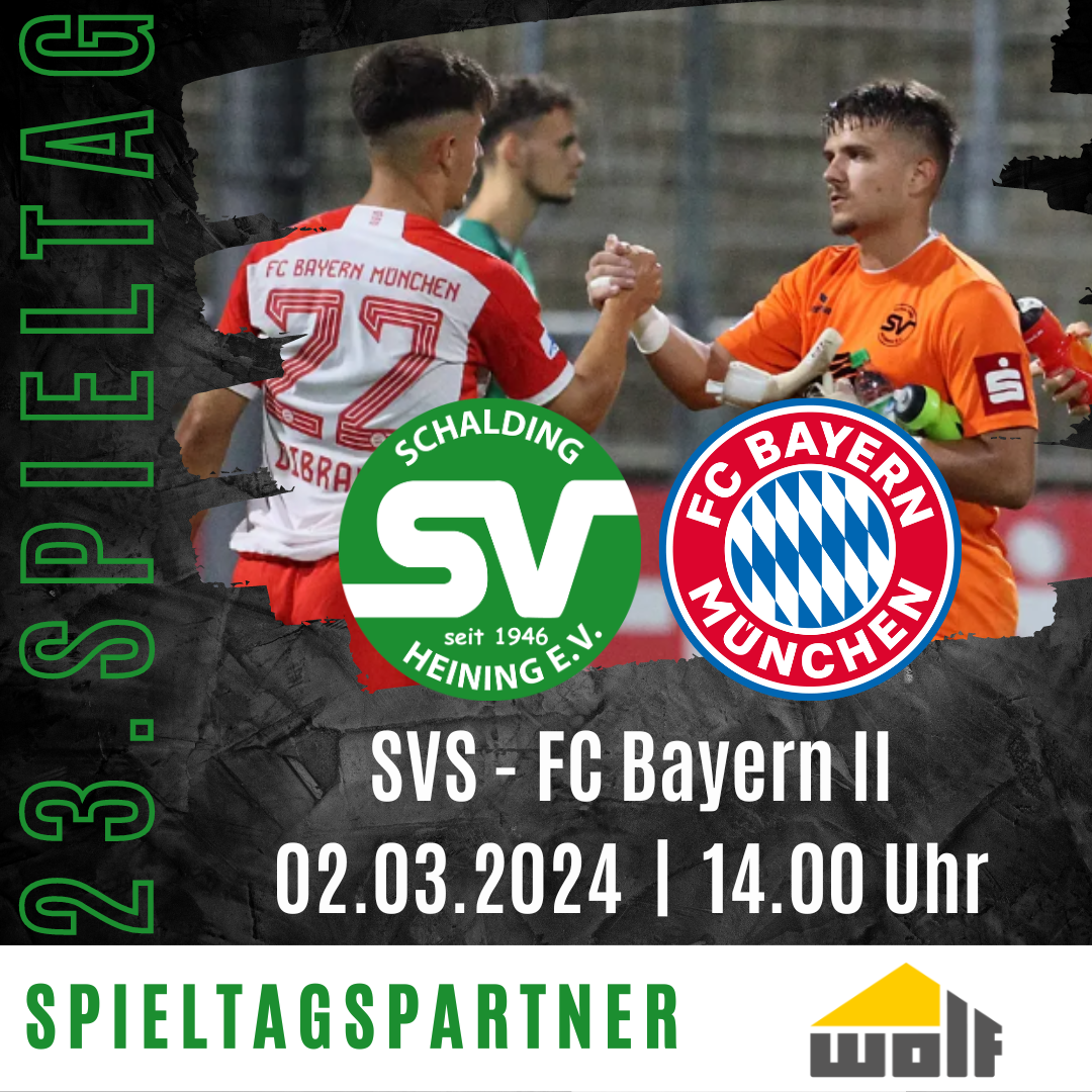 Svs Vs Fc Bayern M Nchen Ii Sv Schalding Heining E V